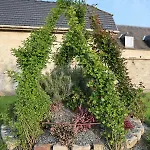 De Saint Remy * Villers-Cotterêts