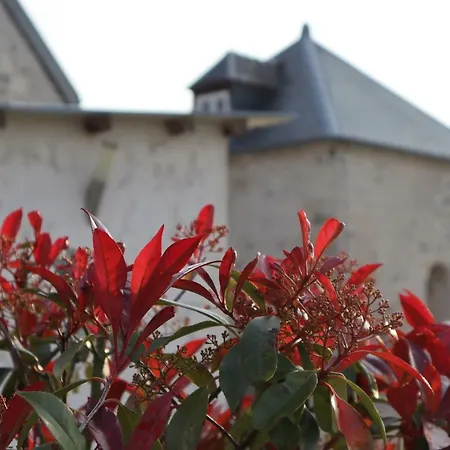 Feriehus De Saint Remy *